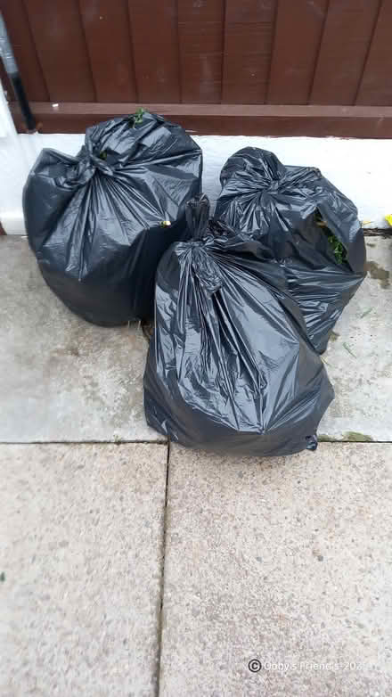 Photo of free Hedge trimmings for compost (Cobridge ST1) #3