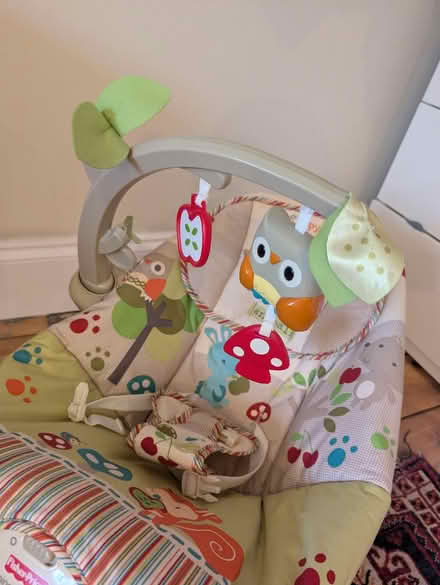 Photo of free Baby bouncer (SE24) #3