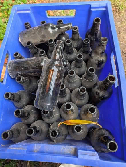 Photo of free Home brew bottles (West Farleigh ME15) #1