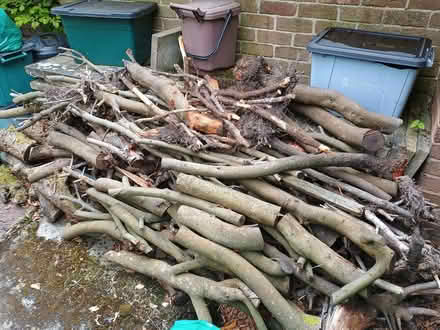Photo of free Logs and a pallet (Handbridge CH4) #1