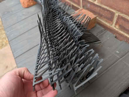 Photo of free Anti-birds spikes (GU12) #2