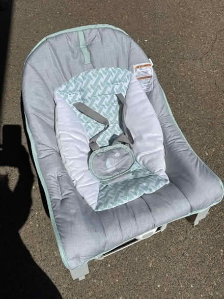 Photo of free Baby seat and rocker (Lake Oswego) #4