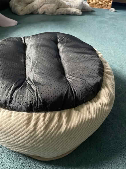 Photo of free Cat basket (MK4 Tattenhoe) #2