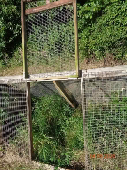 Photo of free Chicken poultry ark / broody coop (TQ12 4QX) #4