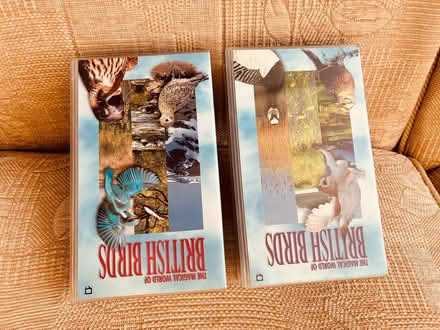 Photo of free British Birds Videos (Eaton Bray LU6) #1