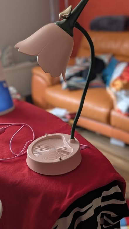 Photo of free Rechargeable Lamp (Combe Down BA2) #2