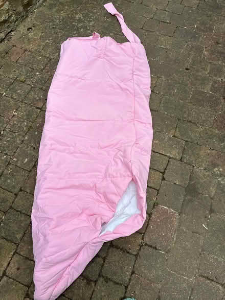 Photo of free Giant worm costume (Godalming area GU7) #2