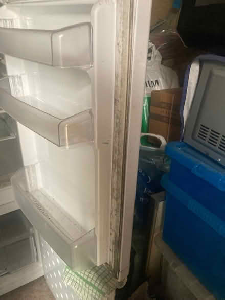Photo of free Fridge Freezer medium size (East Blatchington BN25) #2