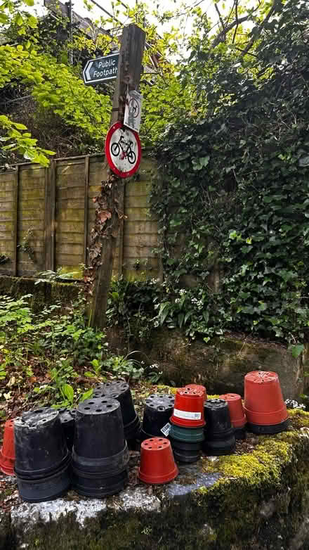 Photo of free Plant pots (Tq9 6hg) #1