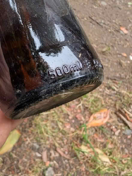 Photo of free Home brew bottles (West Farleigh ME15) #2
