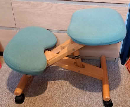 Photo of free Ergonomic chair (OX14 off Colwell Drive) #1