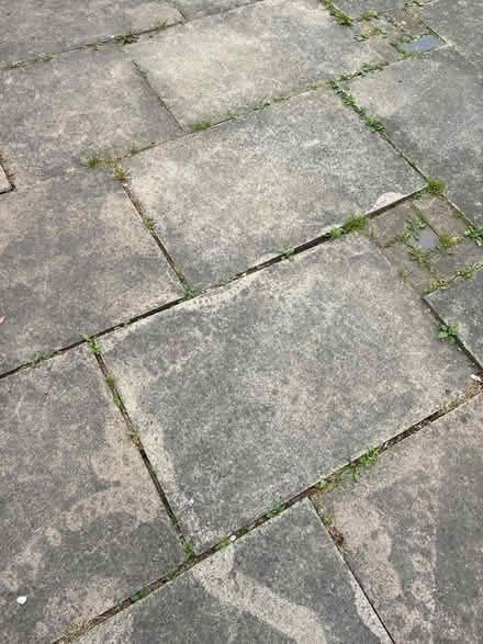Photo of free Paving slabs (Richmond TW9) #2