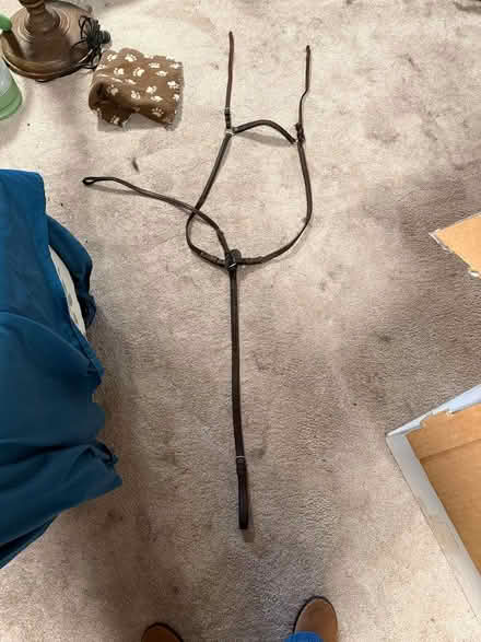Photo of free Standing martingale (Ballard) #1