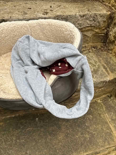 Photo of free Dog bed and puppy carrier (Godalming area GU7) #2