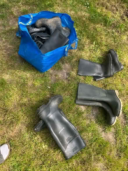 Photo of free Wellies - various sizes (Faversham) #1