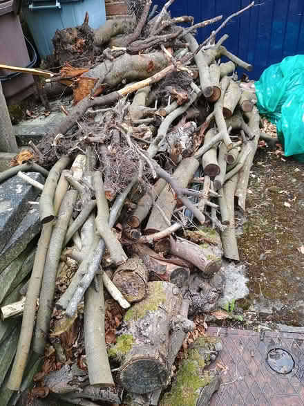 Photo of free Logs and a pallet (Handbridge CH4) #2