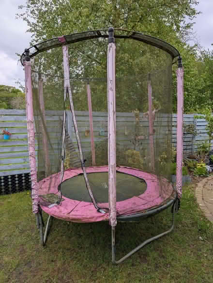 Photo of free 5ft trampolene, pink (Warcop CA16) #1