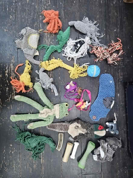 Photo of free Mix of used dog and cat toys (SW8) #1