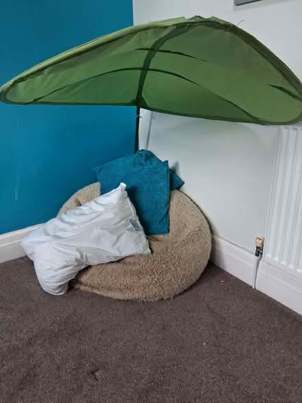 Photo of free Ikea leaf decoration for children's room (Bowerham LA1) #3