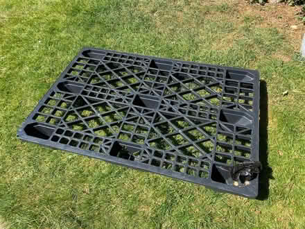 Photo of free Plastic Pallet (Caversham RG4) #1