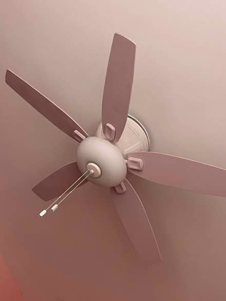 Photo of free Pale pink ceiling Fan (Winter Hill) #1