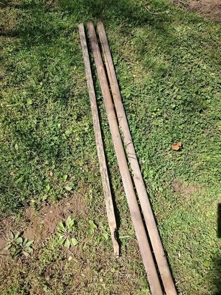 Photo of free Tree supports (Odenton) #1