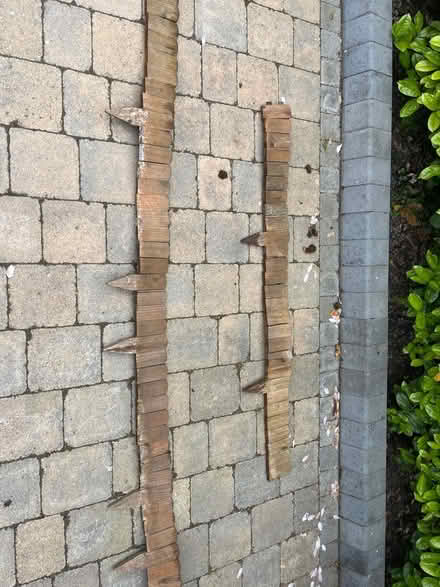 Photo of free Wooden lawn edging (Melbourn) #1