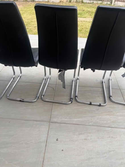 Photo of free 6x Dining Chairs (Cippenham SL1) #2