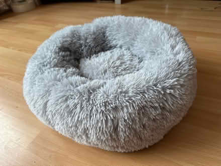 Photo of free Super cosy cat bed. (Blaby LE8) #2