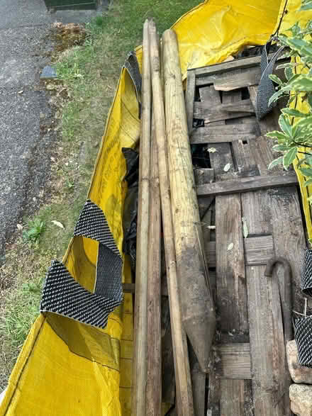 Photo of free Fence Posts (Marshalswick AL4) #1