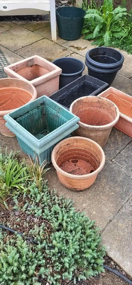 Photo of free Selection of plastic planters (Royston SG8) #1
