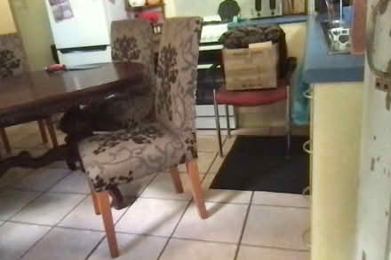 Photo of free Regal dining set (Brisbane Southside) #3