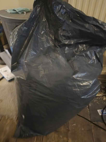 Photo of free Bag of bean bag beans (Chapeltown S35) #2