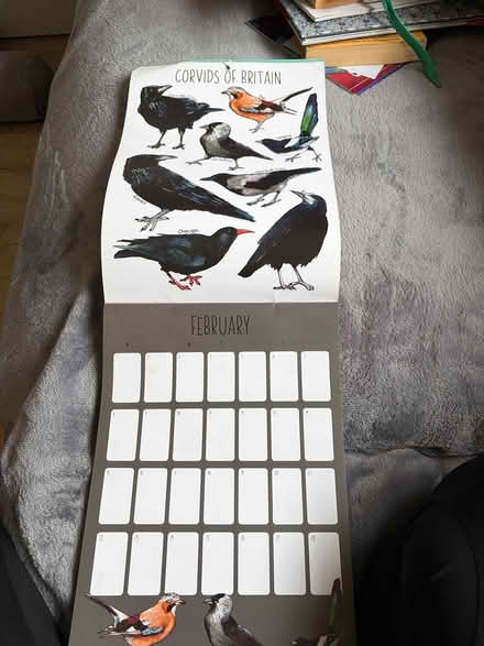 Photo of free British wildlife calendar (2021) (SG4 hitchin) #3