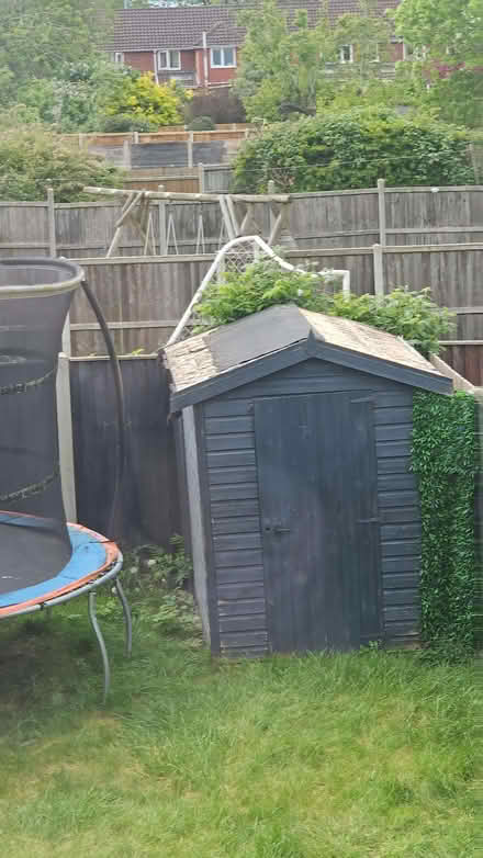 Photo of free Shed (Earlham NR2) #2