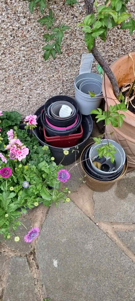 Photo of free assortment of plastic pots (Ravensbourne BR1) #1