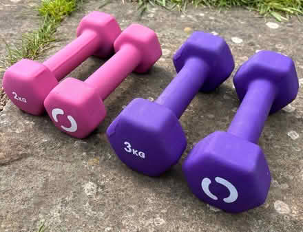 Photo of free Dumbbells (Ludlow SY8) #1