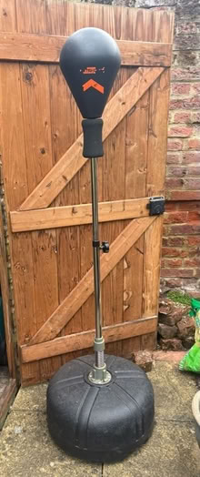 Photo of free Free standing punch bag (Ware SG12) #1