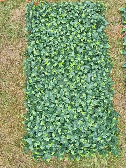 Photo of free Fake foliage panels (Lower Morden SM4) #2