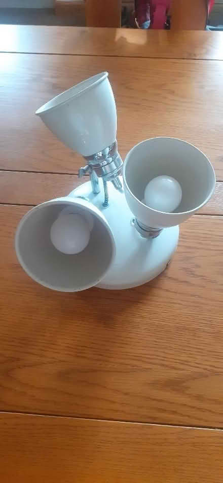Photo of free Ceiling light (Wangford NR34) #2