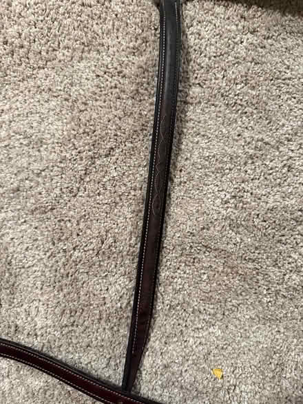 Photo of free Standing martingale (Ballard) #3