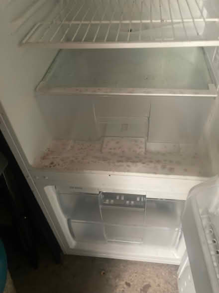 Photo of free Fridge Freezer medium size (East Blatchington BN25) #3