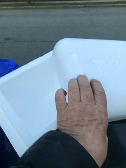 Photo of free Small styrofoam cooler & pegboard (132 humboldt Ave providence) #1