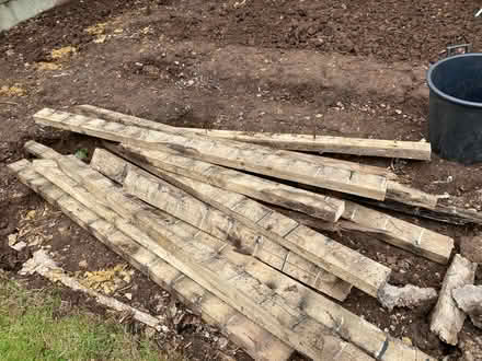 Photo of free Offcuts of wood (Oakwood derby) #1