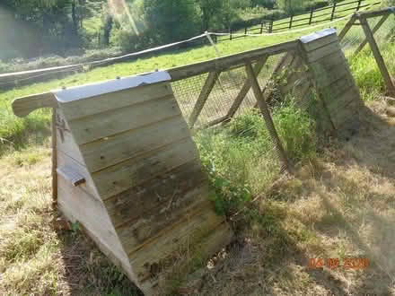 Photo of free Chicken poultry ark / broody coop (TQ12 4QX) #2