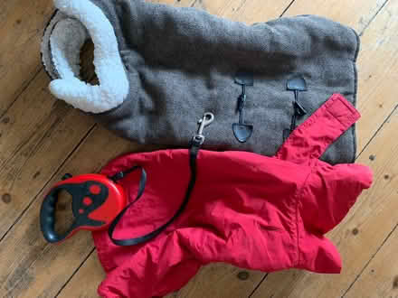 Photo of free Dog coats (M32) #1