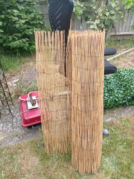 Photo of free Bamboo fencing (Lower Morden SM4) #2