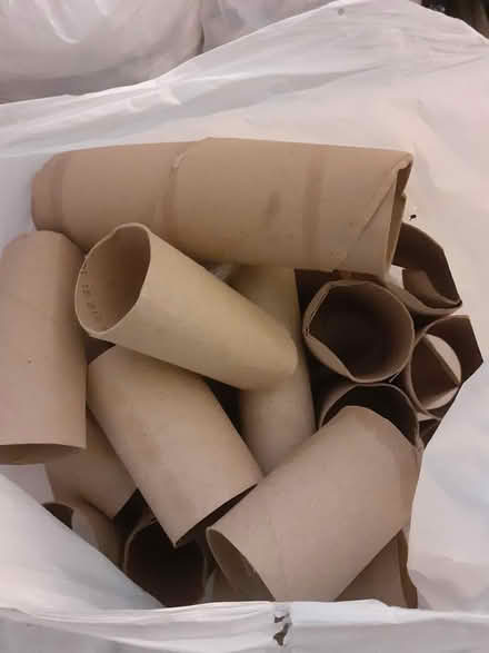 Photo of free Empty toilet rolls (Birmingham City Centre B4) #1