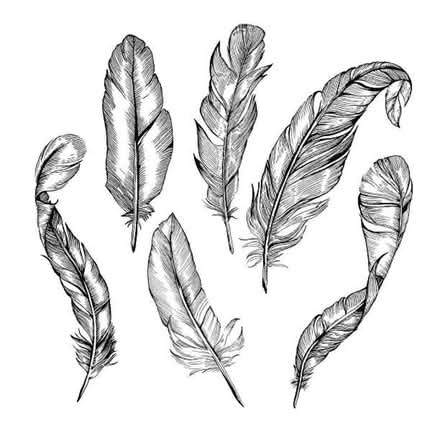 Photo of Feathers for crafts (Bridge Of Earn PH2) #1