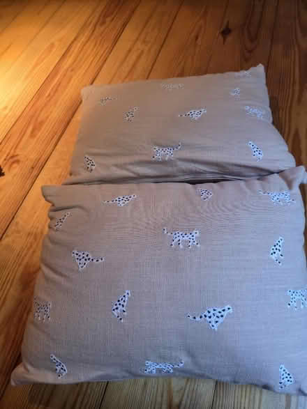 Photo of free Cushions! (Hexham NE46) #1